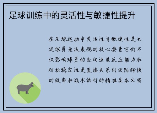 足球训练中的灵活性与敏捷性提升