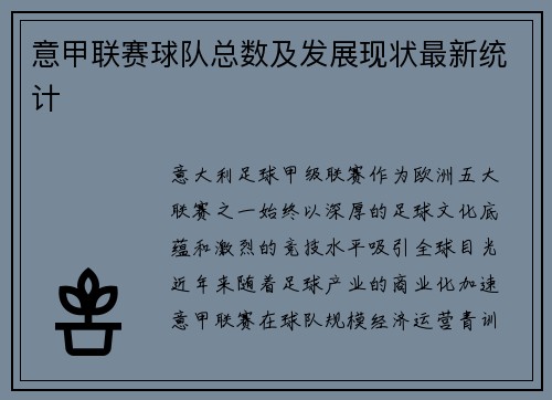 意甲联赛球队总数及发展现状最新统计